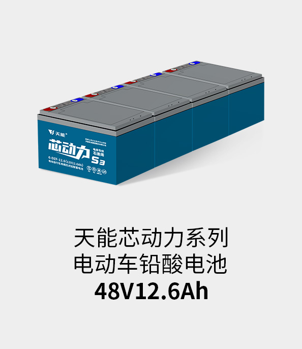 ag平台游戏官网电池48v12ah