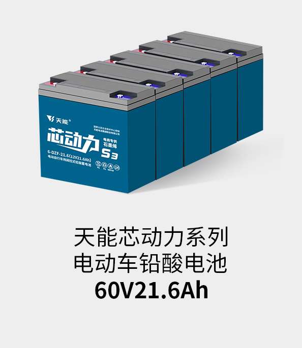 ag平台游戏官网电池60v20ah