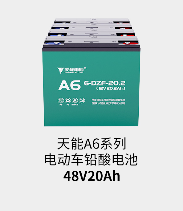 ag平台游戏官网电池48v20ah