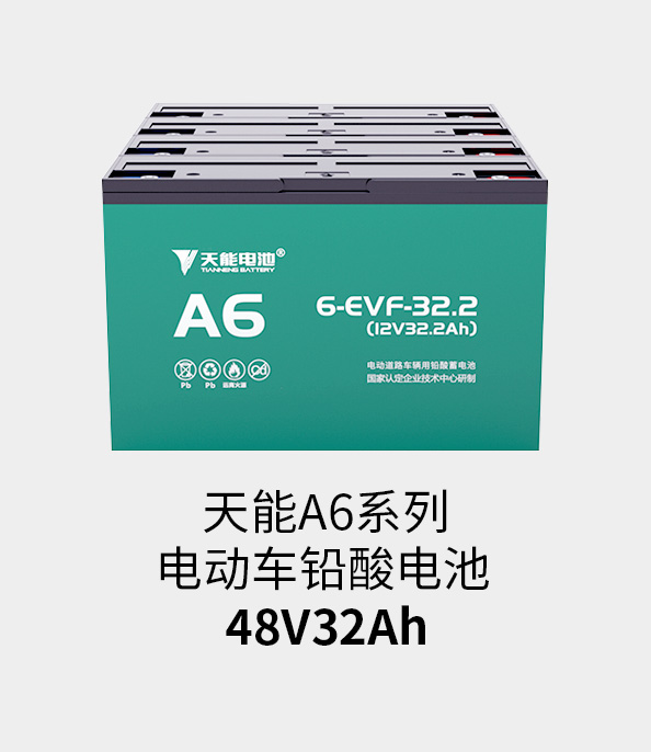 ag平台游戏官网电池48v32ah