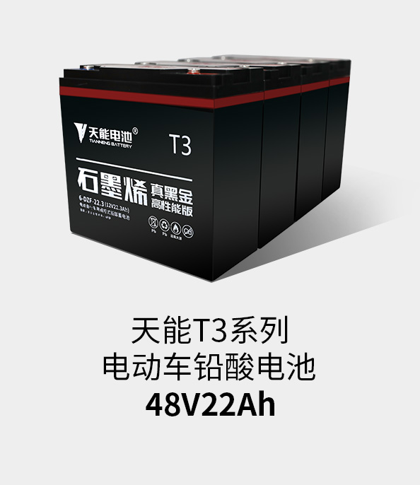 ag平台游戏官网T3系列48v22ah