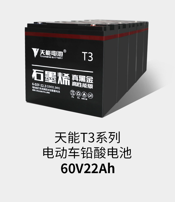 ag平台游戏官网T3系列60v22ah